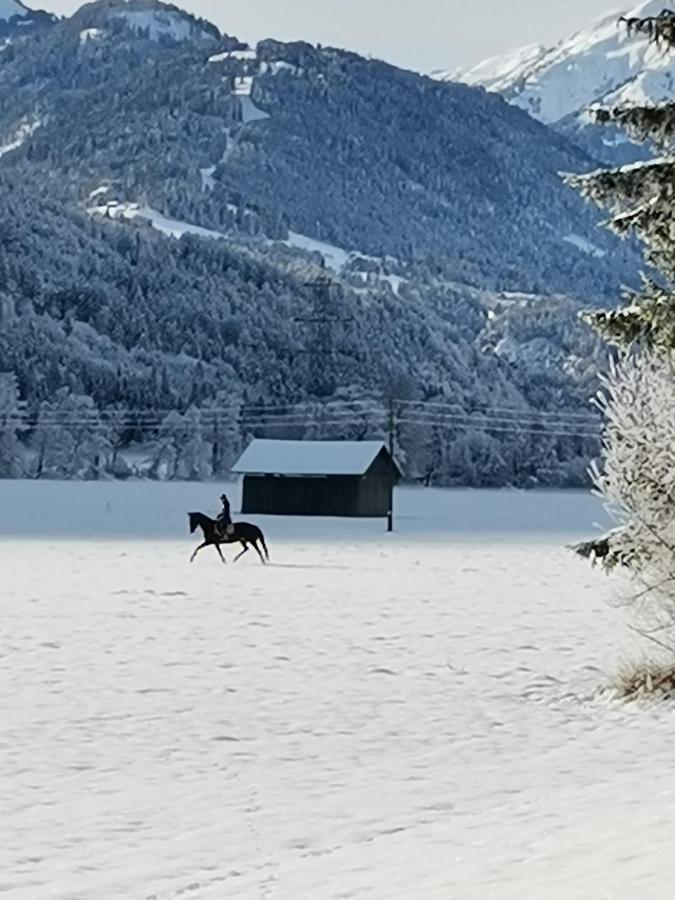 Landhaus Marie Hermagor-Pressegger See Eksteriør billede